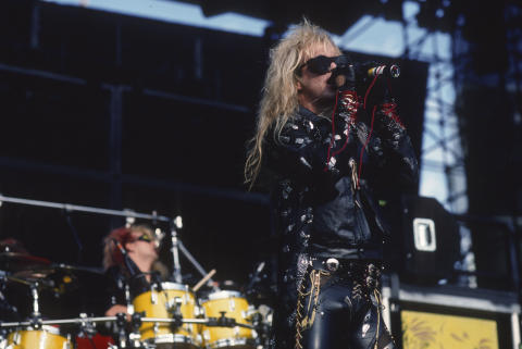 Day On The Green Fine Art Print