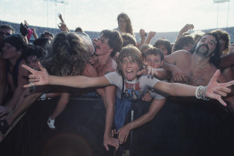 Day On The Green Fine Art Print