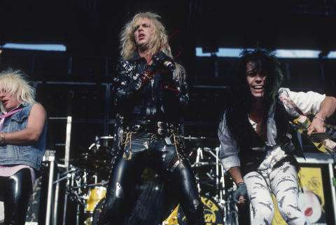 Day On The Green Fine Art Print