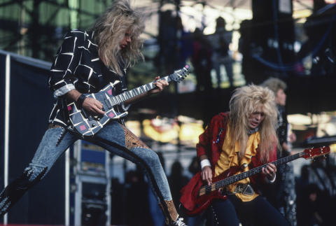 Day On The Green Fine Art Print