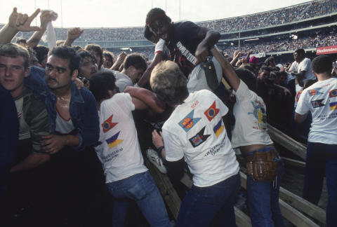 Day On The Green Fine Art Print