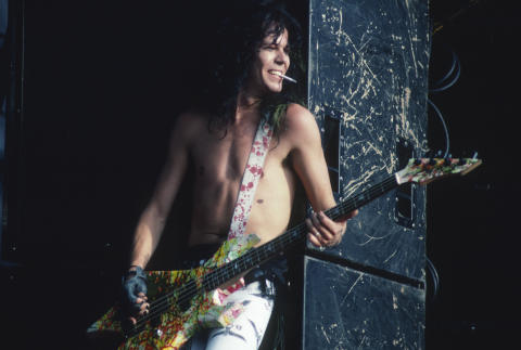 Day On The Green Fine Art Print