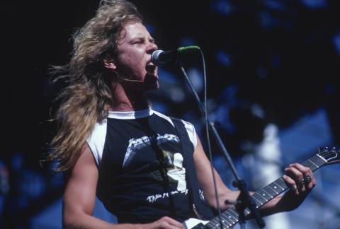 Day On The Green Fine Art Print