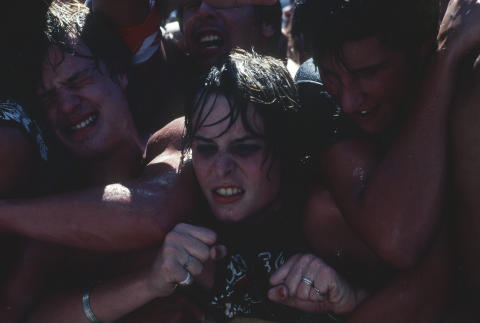 Day On The Green Fine Art Print