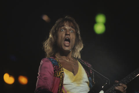 Day On The Green Fine Art Print