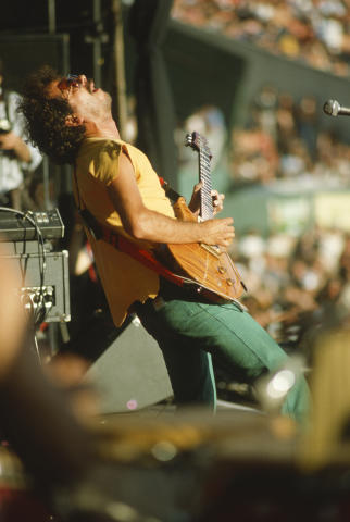 Day On The Green Fine Art Print