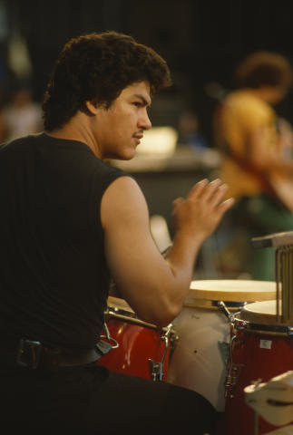 Day On The Green Fine Art Print