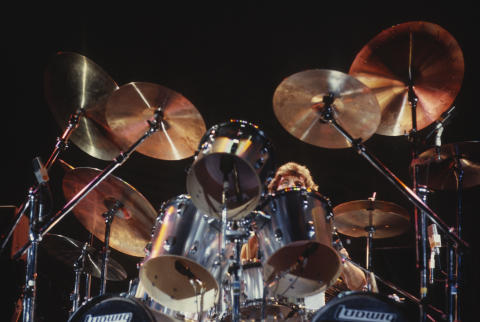 Day On The Green Fine Art Print