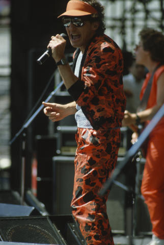 Day On The Green Fine Art Print