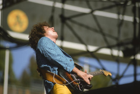 Day On The Green Fine Art Print