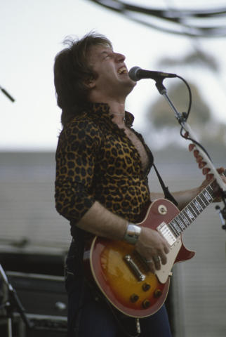 Day On The Green Fine Art Print