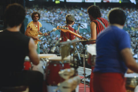 Day On The Green Fine Art Print