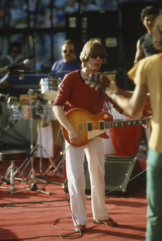 Day On The Green Fine Art Print