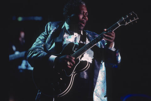 Blues Music Festival Fine Art Print