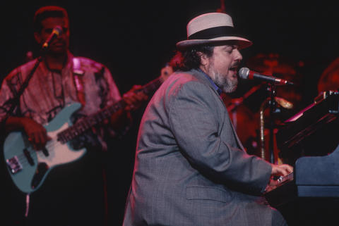 Blues Music Festival Fine Art Print