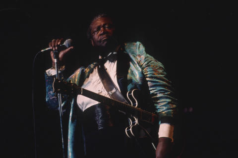 Blues Music Festival Fine Art Print