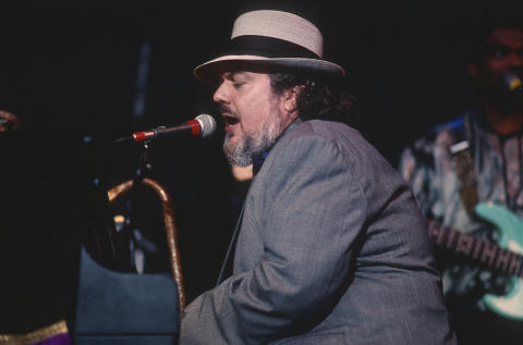 Blues Music Festival Fine Art Print