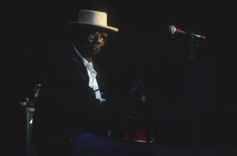 Blues Music Festival Fine Art Print