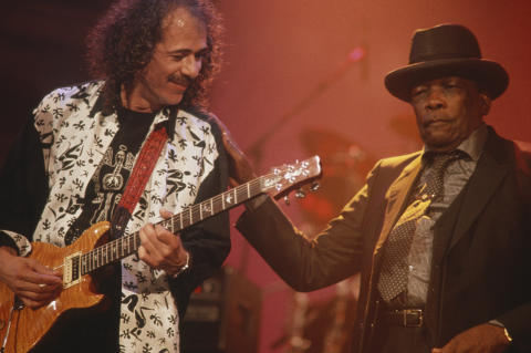 Bammies Fine Art Print