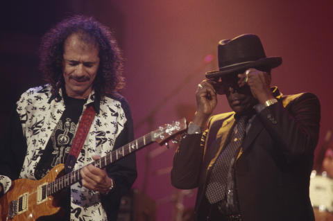 Bammies Fine Art Print