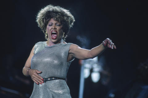 Tina Turner Fine Art Print