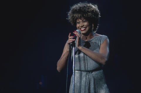 Tina Turner Fine Art Print