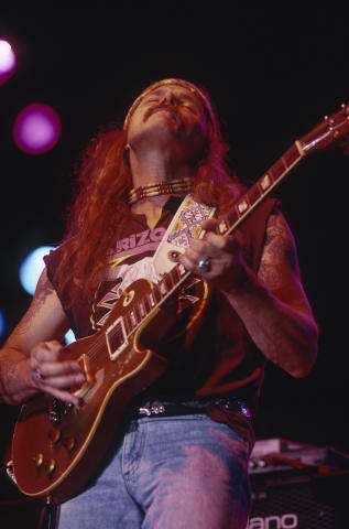 Allman Brothers Band Fine Art Print