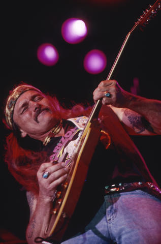 Allman Brothers Band Fine Art Print