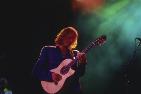 Sting Fine Art Print