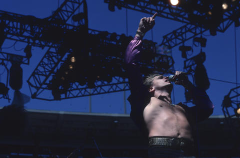 Scorpions Fine Art Print