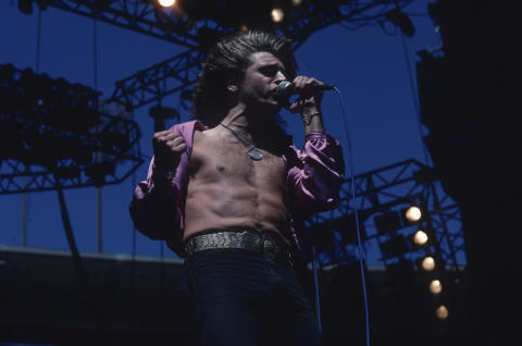 Scorpions Fine Art Print