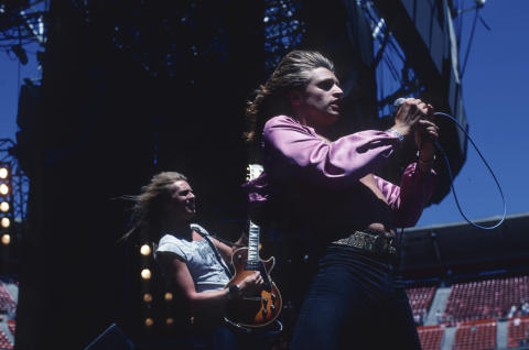 Scorpions Fine Art Print