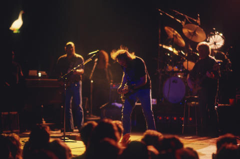 Neil Young Fine Art Print