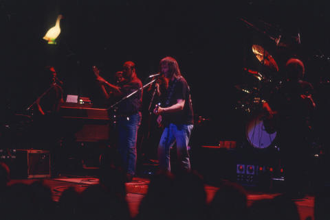 Neil Young Fine Art Print