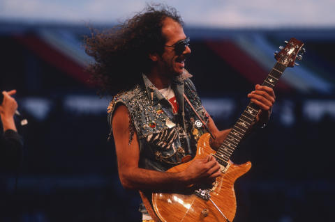 Bonnie Raitt Fine Art Print