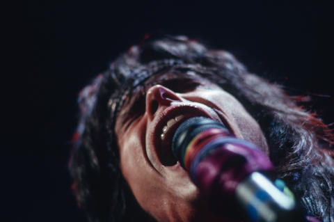 Aerosmith Fine Art Print