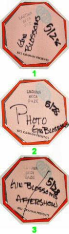 Phish Backstage Pass