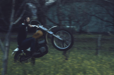 Art by Tribo Fine Art Print