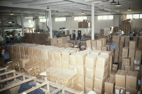 Winterland Fine Art Print