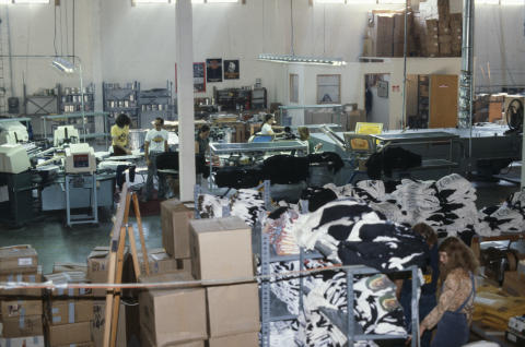 Winterland Fine Art Print