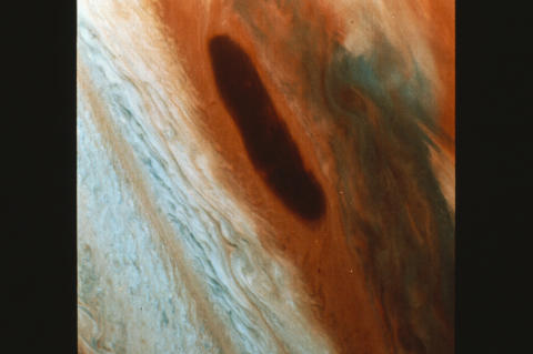 Nature & Science Fine Art Print