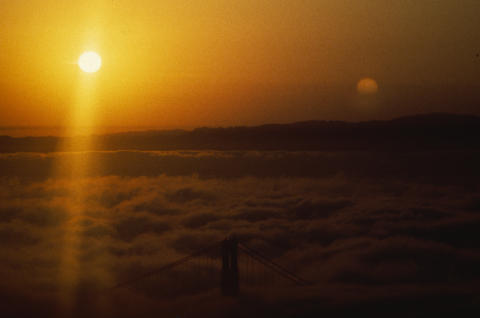 Nature & Science Fine Art Print