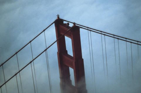 Nature & Science Fine Art Print