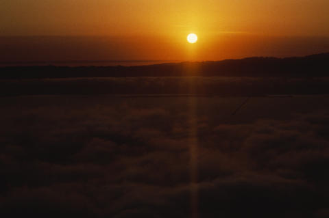 Nature & Science Fine Art Print