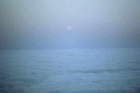 Nature & Science Fine Art Print