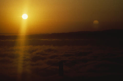 Nature & Science Fine Art Print