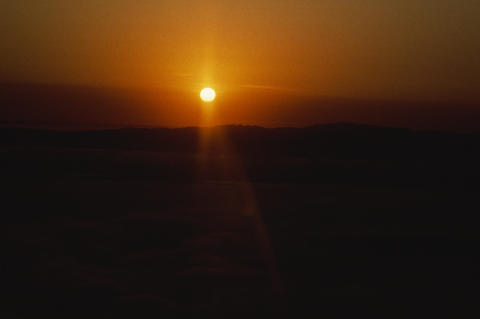 Nature & Science Fine Art Print