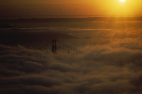 Nature & Science Fine Art Print