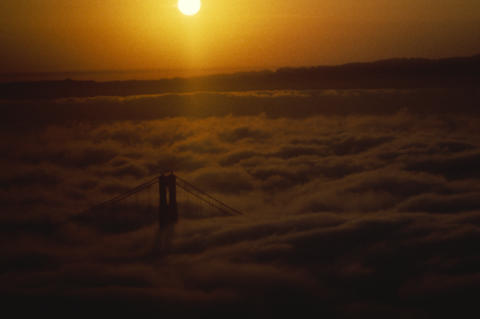 Nature & Science Fine Art Print