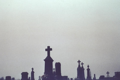 Travel & Nature Fine Art Print